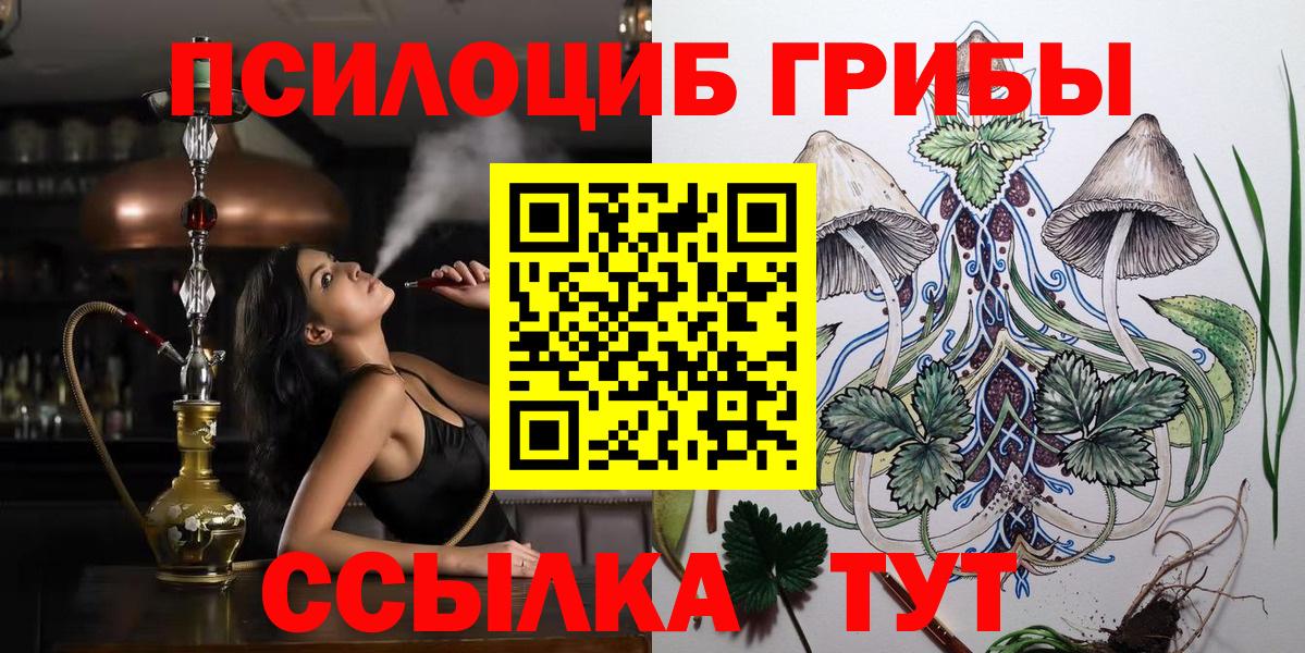 Тихорецк  Галлюциногенные грибы Cubensis  наркота  Вход с VPN 