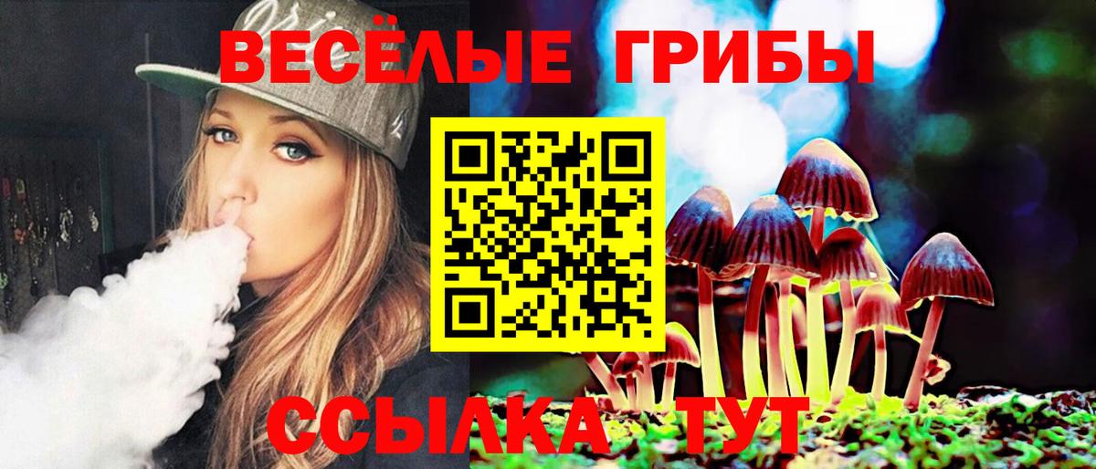 Псилоцибиновые грибы ЛСД Тихорецк
